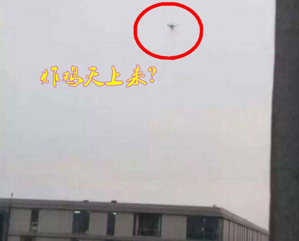 炸雞天上來(lái)，可知「炸機(jī)」危害性？